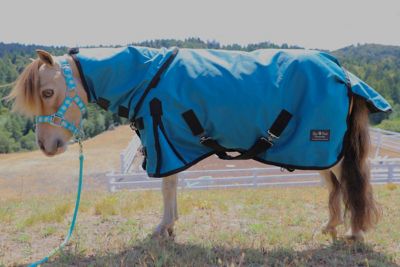 Image showing  1200D Waterproof Hooded Horse Sheet