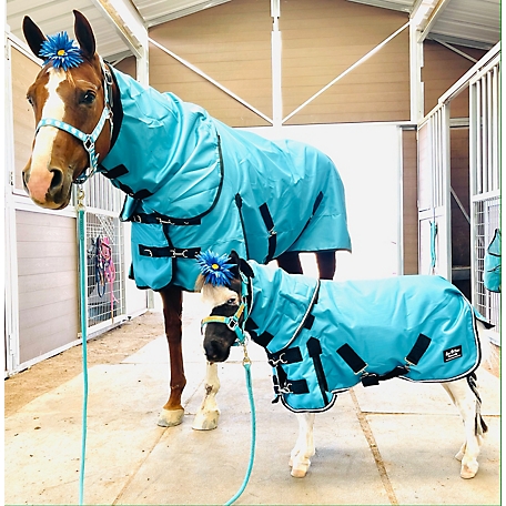 Star Point Horsemanship 1200D Waterproof Hooded Horse Sheet