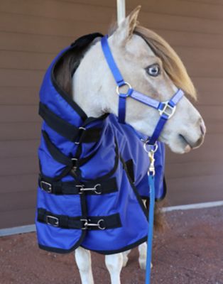 Image showing  1200D Waterproof Hooded Horse Sheet