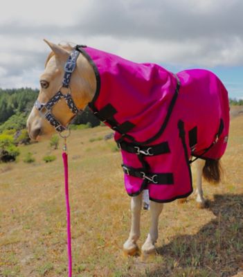 Image showing  1200D Waterproof Hooded Horse Sheet