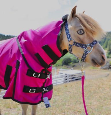 Image showing  1200D Waterproof Hooded Horse Sheet