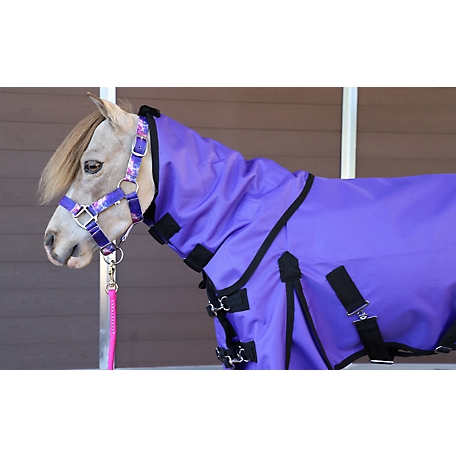 Star Point Horsemanship 1200D Waterproof Hooded Horse Sheet