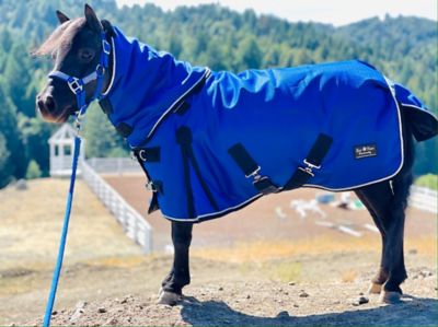 Image showing  1200D Waterproof Hooded Horse Blanket, Mediumweight, 220g