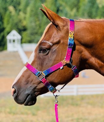 Image showing  Patterned Leather Stable Horse Halter
