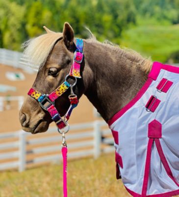 Image showing  Patterned Leather Stable Horse Halter