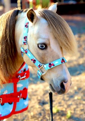 Star Point Horsemanship Patterned Leather Stable Horse Halter