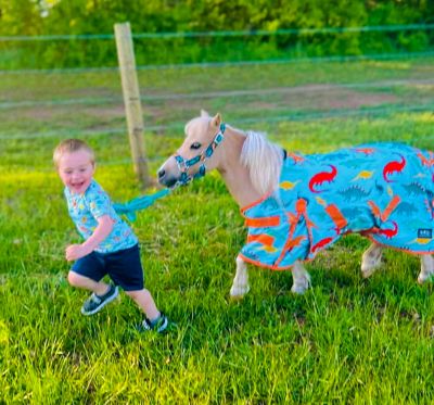 Image showing  600D Dinosaur Pattern Waterproof Hooded Horse Sheet, Sizes 38-80 in.