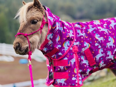 Star Point Horsemanship Unicorn Pattern 600 D Waterproof Hooded Horse Sheet - Sizes 38-80 in.