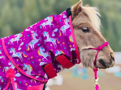 Image showing  Unicorn Pattern 600 D Waterproof Hooded Horse Sheet - Sizes 38-80 in.