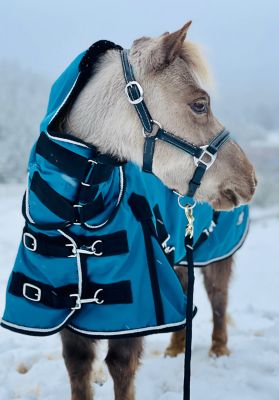 Star Point Horsemanship 1200D Waterproof Hooded Miniature Horse/Pony Blanket, Heavyweight, 350g