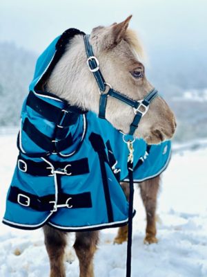 Image showing  350g/1200D Heavyweight Waterproof Hooded Miniature Horse/Pony Blanket, Heavyweight