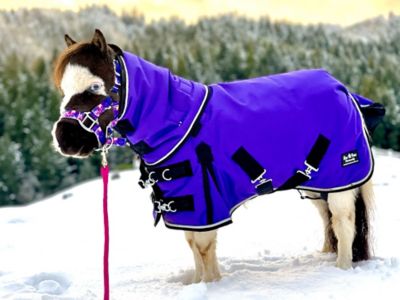 Image showing  350g/1200D Heavyweight Waterproof Hooded Miniature Horse/Pony Blanket, Heavyweight