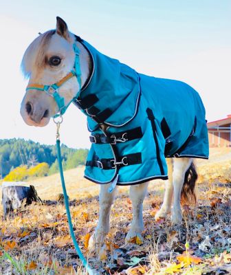 Star Point Horsemanship 1200D Waterproof Hooded Miniature Horse-Pony Blanket, Lightweight, 100g