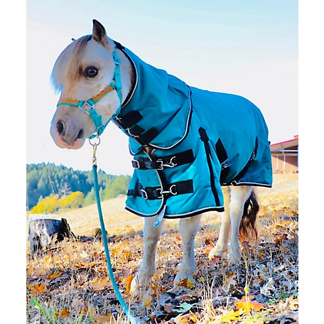 Star Point Horsemanship 1200D Waterproof Hooded Miniature Horse-Pony Blanket, Lightweight, 100g