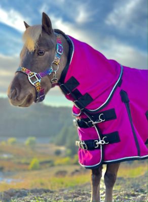 Image showing  100g/200D Lightweight Waterproof Hooded Miniature Horse-Pony Blanket