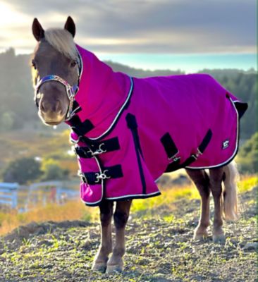 Star Point Horsemanship 100g/200D Lightweight Waterproof Hooded Miniature Horse-Pony Blanket
