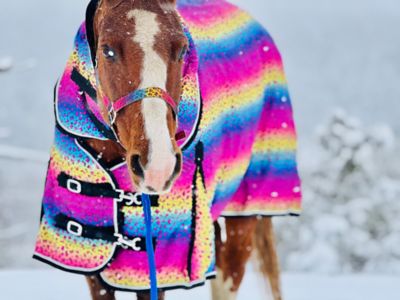 Image showing  Rainbow Cheetah Pattern Mid-Weight 220 G Hooded Blanket - Sizes 38-80 in.