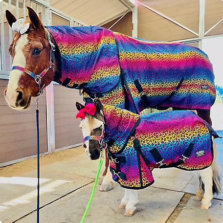 Star Point Horsemanship Rainbow Cheetah Pattern Hooded Horse Blanket, Mediumweight, 220g