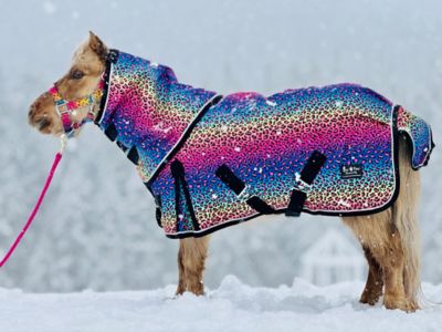 Image showing  Rainbow Cheetah Pattern Mid-Weight 220 G Hooded Blanket - Sizes 38-80 in.