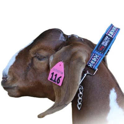 Sullivan Supply Nylon Free Spirit Lead