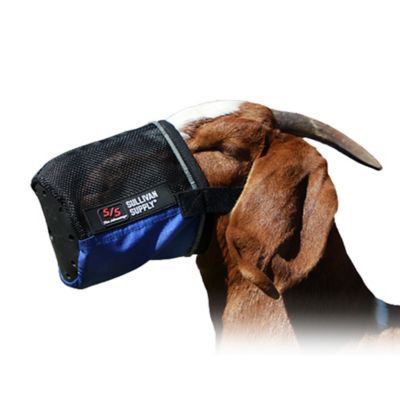 Product TrademarkColor1