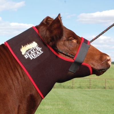 Sullivan Supply Black Heat Cattle Neck Sweat, Small