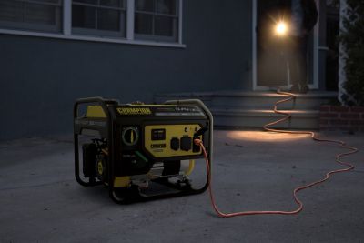 Image showing  4,375/3,500-Watt Dual-Fuel Portable Generator