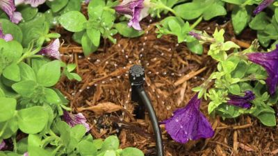 Image showing  1/4 in. Drip Irrigation Hole Punch