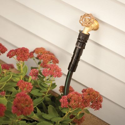 Image showing  3/4 in. FHT Backflow Preventer with 150 Mesh Filter