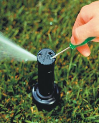 Image showing 9 th Rain Bird 19 ft. - 32 ft. Simple Adjust Gear Drive Rotor Sprinkler on Hose-End Spike