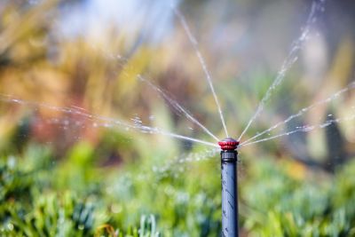 Image showing  17 ft. - 24 ft. Adjustable Pop-Up Rotor Sprinkler, 4 in.