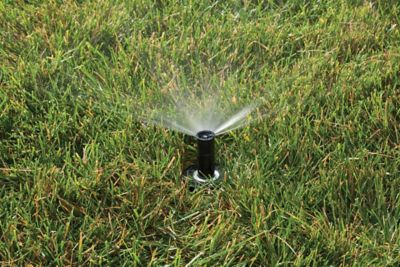 Image showing  15 ft. Adjustable Pop-Up Pattern Spray Head with Pressure Regulator, 3 in.
