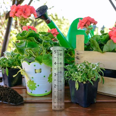 Image showing  Replacement Glass Rain Gauge