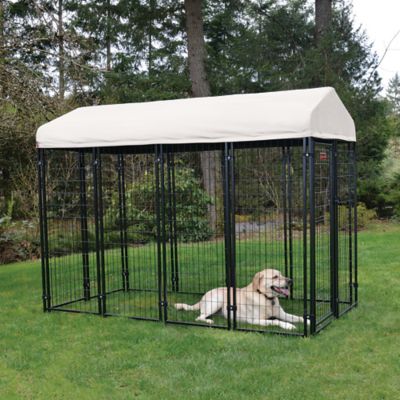 Dog Kennels Containment Gates at Tractor Supply Co