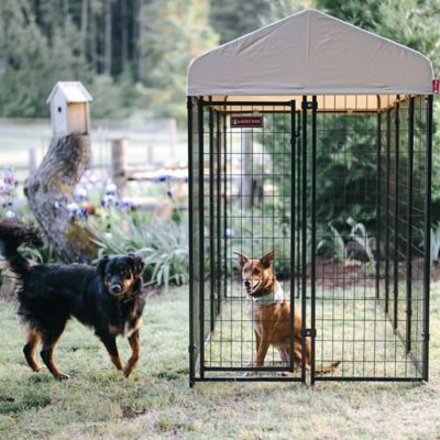 Image showing  6 x 4 x 8ft. STAY Series Villa Dog Kennel, Khaki Cover
