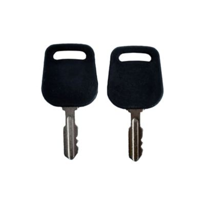 Image showing  Ignition Keys, Craftsman, Husqvarna, Poulan, MTD, Cub Cadet, Troy-Bilt Replaces OEM 532140402, 532140403, 7252054