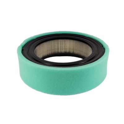Image showing  Air Filter and Pre-Cleaner for Briggs and Stratton Replaces OEM #'s 692519, 692520