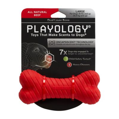 Playology All-Natural Beef-Scented Dual Layer Dog Chew Bone