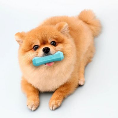 Image showing 3 th Playology Peanut Butter Squeaky Chew Stick, Large