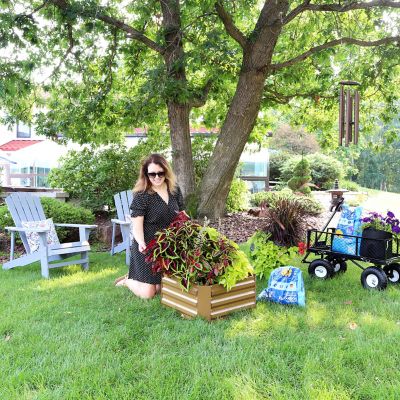 Image showing 5 th Sunnydaze Decor Galvanized Steel Raised Garden Bed, 24 in. Square, Brown