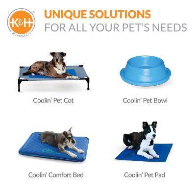 Image showing 6 th K&H Pet Products Doggy Pool and Pet Bath