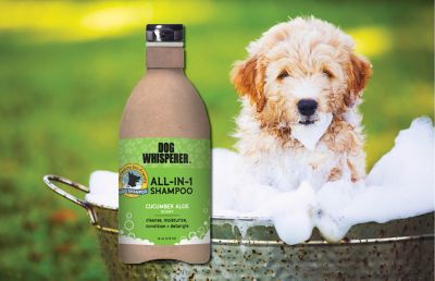 Image showing  Sparkling Clean Cucumber Aloe Scented All-in-1 Shampoo for Dogs, 16 oz.