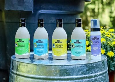 Image showing 2 th Dog Whisperer Soothing Oatmeal Dog Shampoo, Milk and Honey, 16 fl. oz.