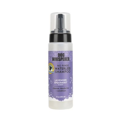 Dog Whisperer No Rinse Waterless Pet Shampoo, Lavender Spearmint, 7.5 fl. oz.