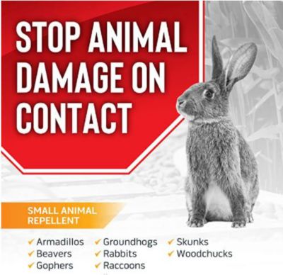 Image showing  2.5 lb. Ready-to-Use Animal Repellent Granules