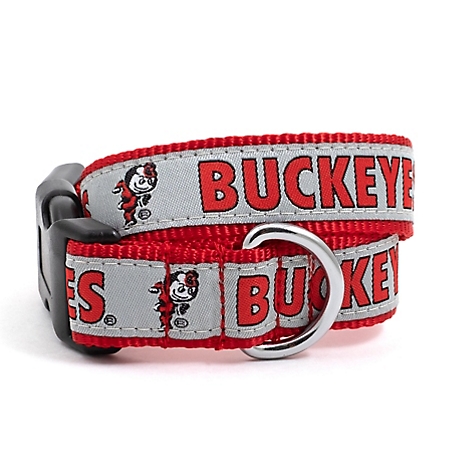The License House Adjustable Ohio State Buckeyes Brutus Buckeye Dog Collar
