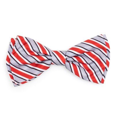 The License House Ohio State Buckeyes Helmet Stripe Dog Bow Tie Collar Accessory