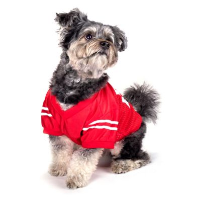 Image showing  Ohio State Buckeyes Dog LoGo Pet Jersey