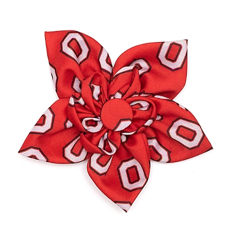 The License House Ohio State Buckeyes Tossed Block O Flower Dog Collar Accessory