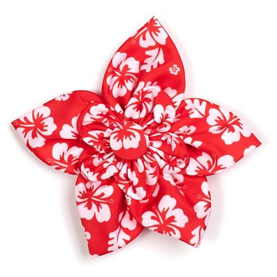 Image showing  Aloha Flower Adjustable Pet Collar Accessory
